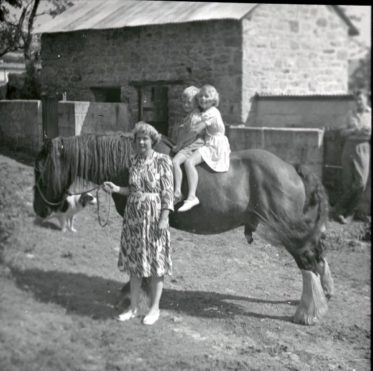 Marjorie Leading Horse