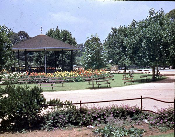 Park Flowers