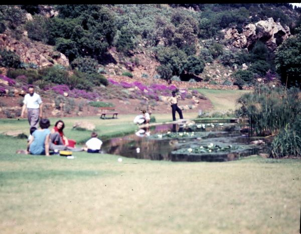 Park Flowers