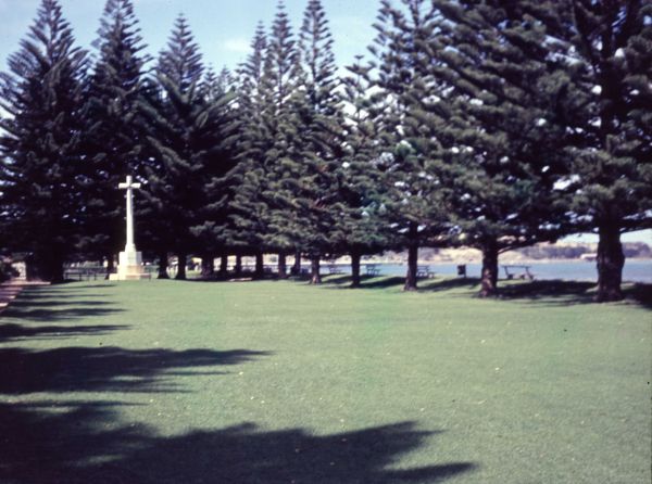 Victor Harbour pines